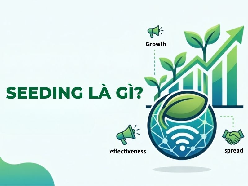 Seeding là gì? Cách triển khai chiến dịch Seeding đạt hiệu quả