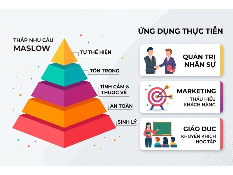 Tháp nhu cầu Maslow là gì? Ứng dụng thực tiễn