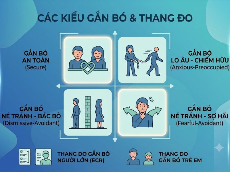 Thuyết Gắn bó (Attachment Theory): Nền Tảng, Nội Hàm và Ứng Dụng
