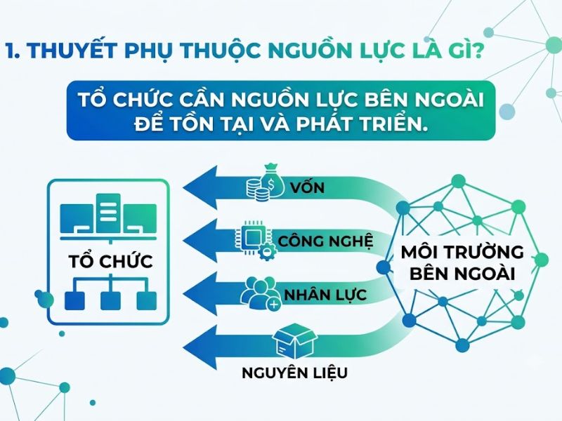 Thuyết Phụ thuộc Nguồn lực (Resource Dependence Theory - RDT)