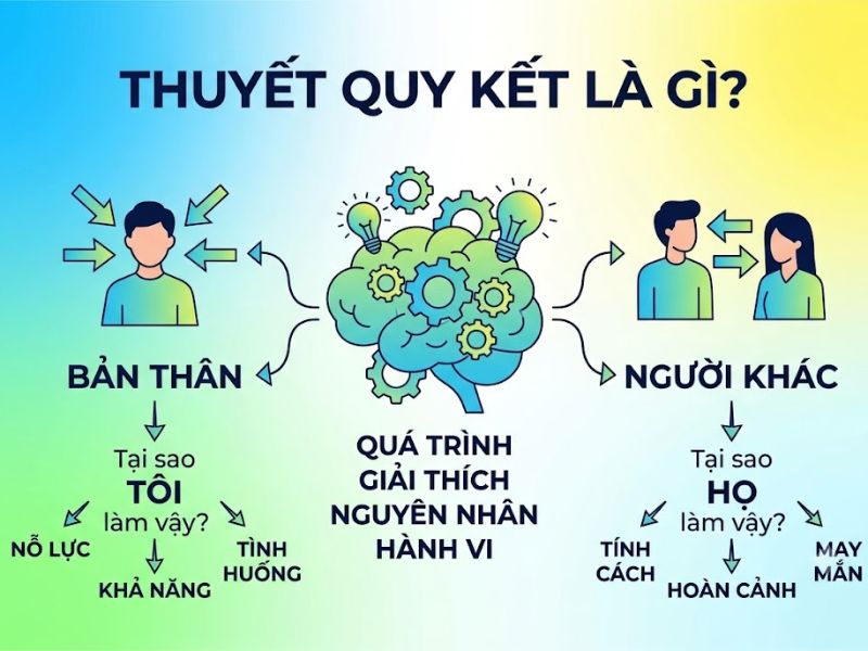 Thuyết Quy kết (Attribution Theory) là gì?
