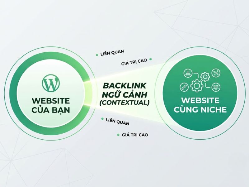 TrustRank là gì? Cách Tăng Độ Tin Cậy Website Trong SEO
