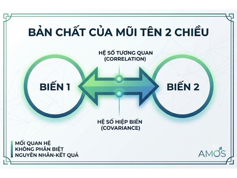 Ý Nghĩa Và Kỹ Thuật Tối Ưu Mũi Tên 2 Chiều Covariance Trong Phân Tích AMOS (SEM)