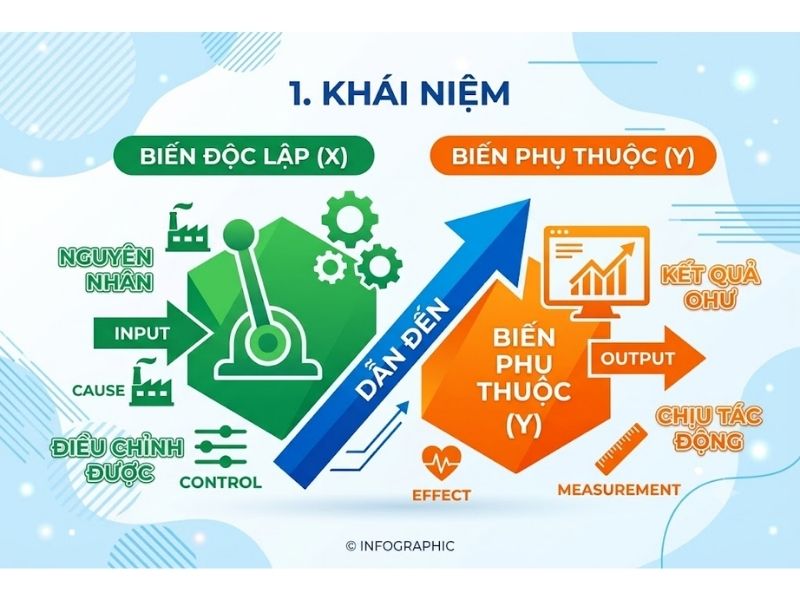 Biến độc lập và biến phụ thuộc - Phân biệt và ví dụ thực tiễn