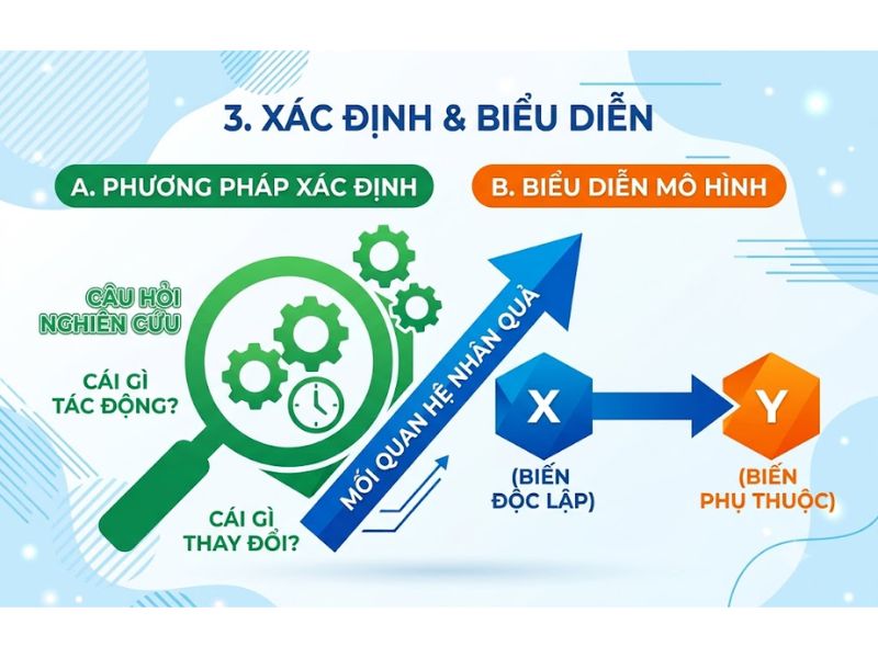 Biến độc lập và biến phụ thuộc - Phân biệt và ví dụ thực tiễn