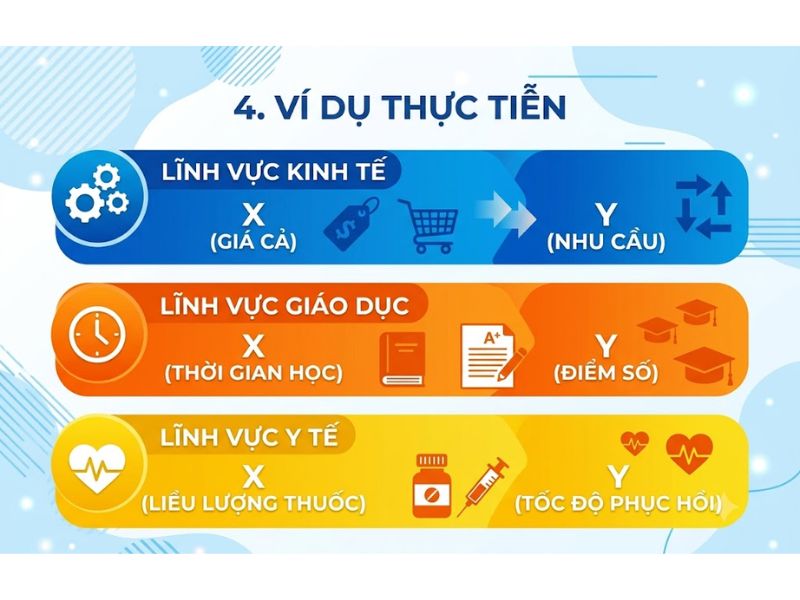 Biến độc lập và biến phụ thuộc - Phân biệt và ví dụ thực tiễn