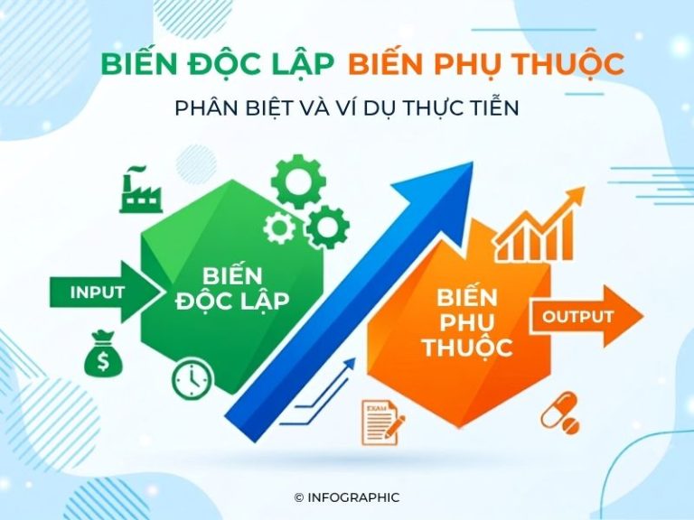 Biến độc lập và biến phụ thuộc - Phân biệt và ví dụ thực tiễn