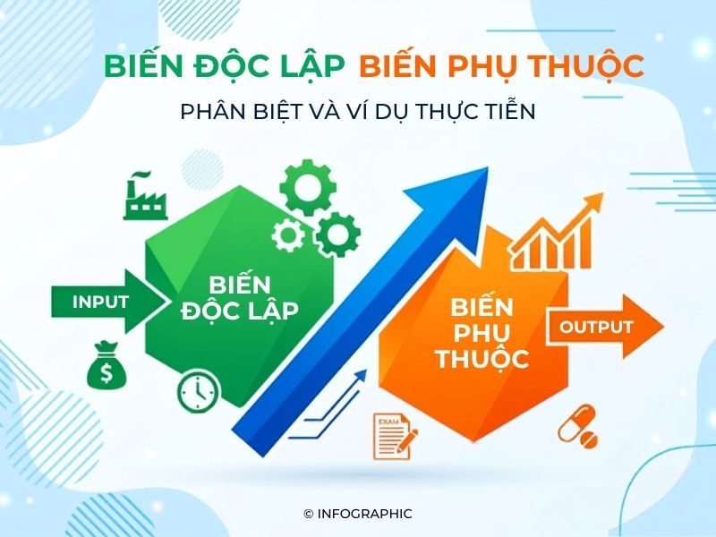 Biến độc lập và biến phụ thuộc - Phân biệt và ví dụ thực tiễn