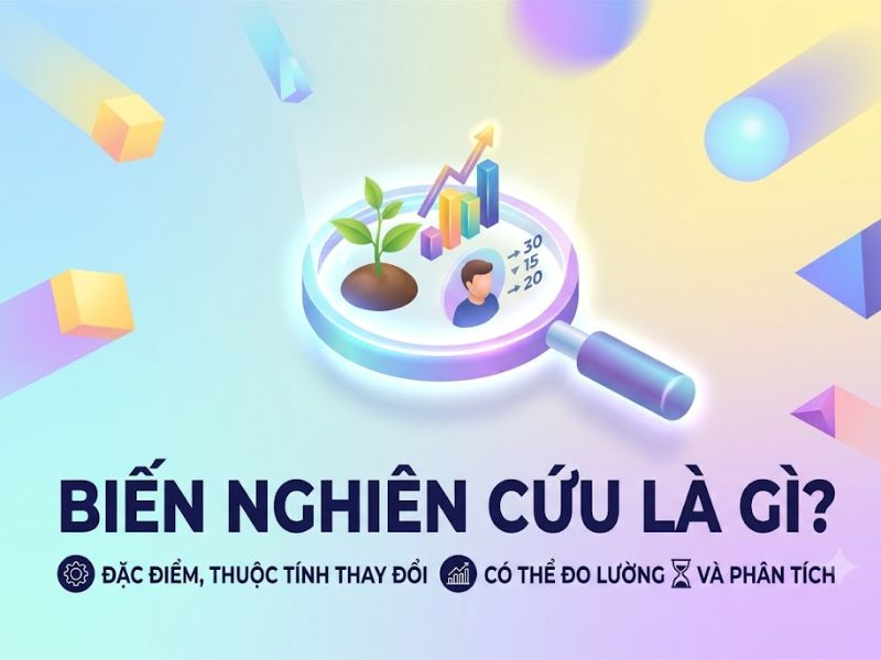 Biến nghiên cứu là gì? Cách xác định trong nghiên cứu khoa học