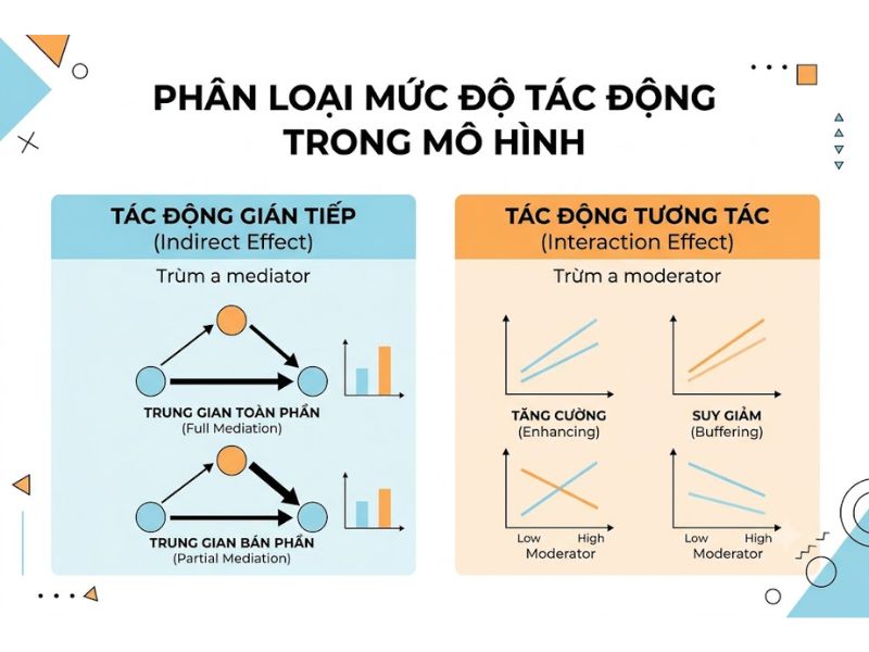 Biến trung gian và biến điều tiết: Phân biệt trong mô hình