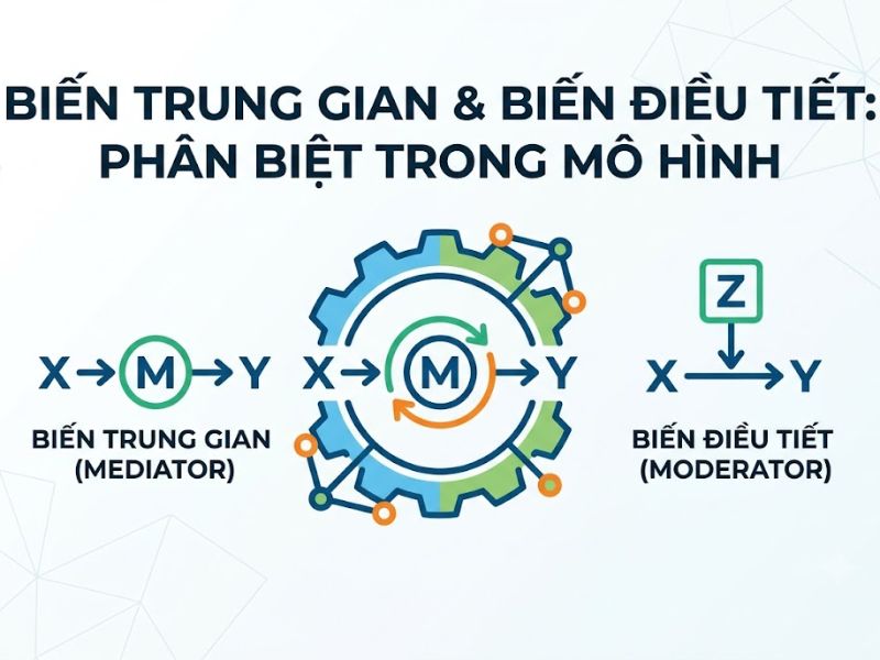 Biến trung gian và biến điều tiết: Phân biệt trong mô hình