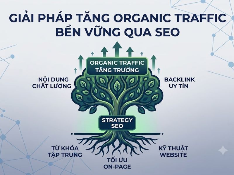 10+ Cách Tăng Trafic Cho Website Hiệu Quả