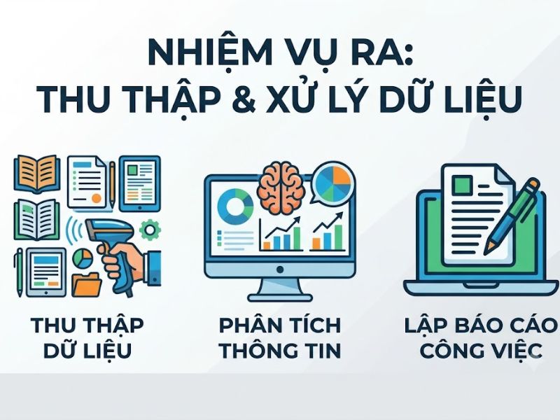 Vị trí trợ lý nghiên cứu RA là gì? Lộ trình phát triển