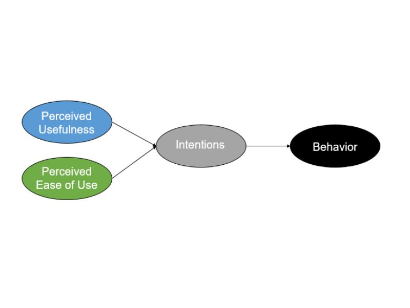 Perceived Ease of Use Scale: TAM Paradigm Extension,and Empirical Construct Validation