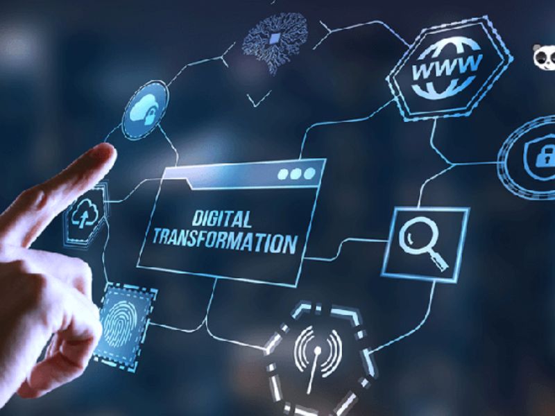 SME Digital Transformation Research