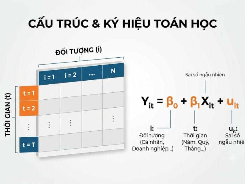 Dữ Liệu Bảng Là Gì? Phân Loại Và Các Mô Hình Ước Lượng Kinh Tế Lượng
