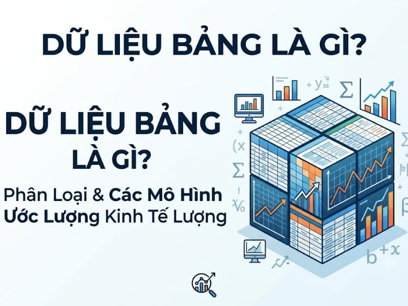 Dữ Liệu Bảng Là Gì? Phân Loại Và Các Mô Hình Ước Lượng Kinh Tế Lượng