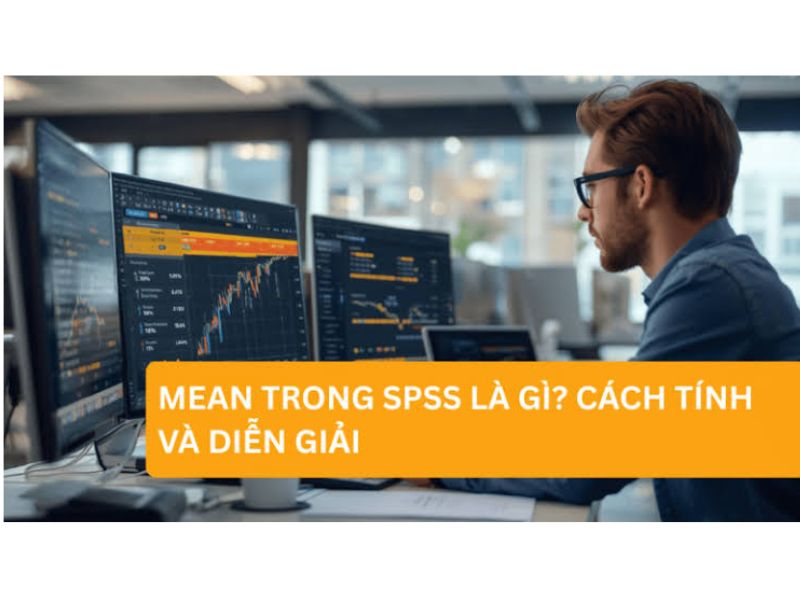Mean Trong SPSS Là Gì? 4 Cách Tính Và Quy Tắc Đọc Thang Đo Likert