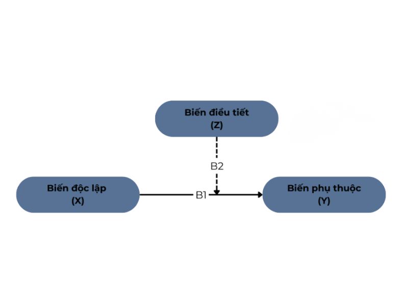 Moderator Effects Là Gì? Kiểm Định Trên SmartPLS, SPSS